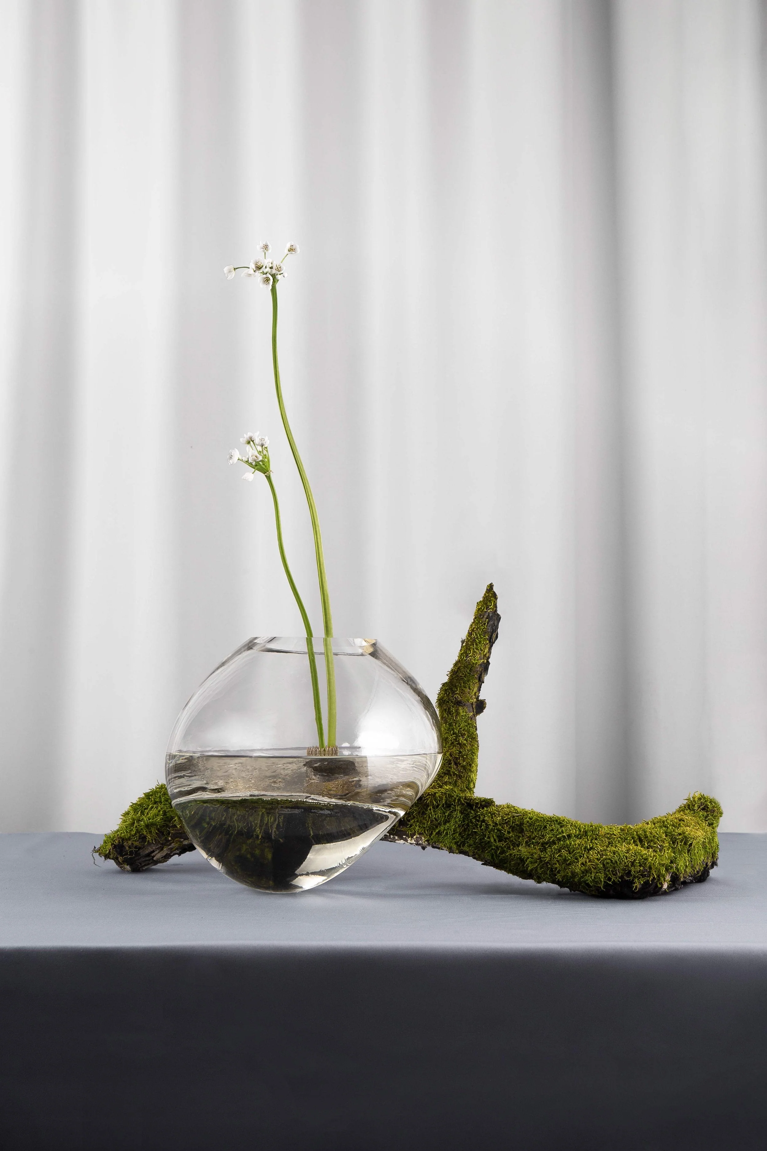 Gutta Vase by Noom - Image 17