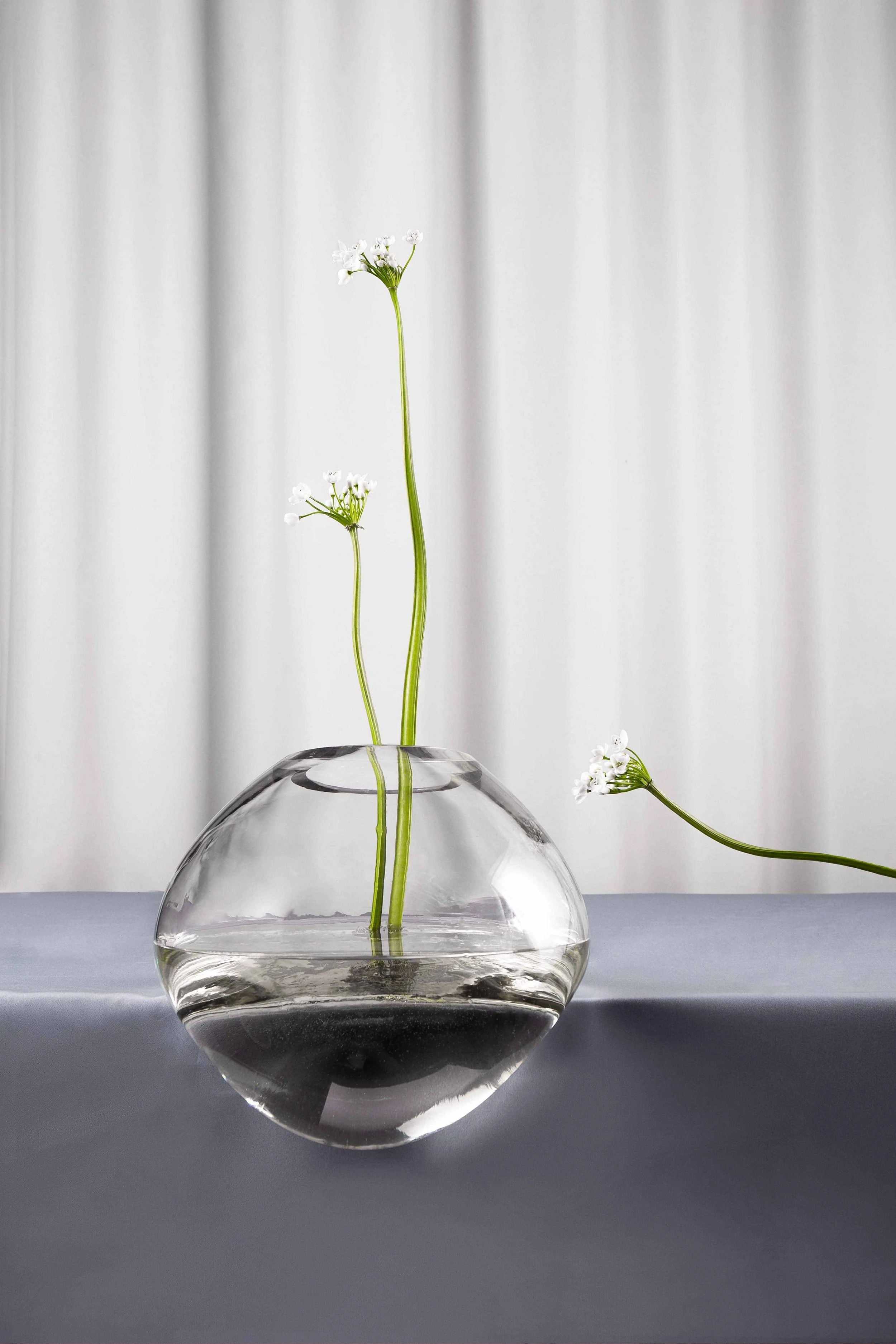 Gutta Vase by Noom - Image 18