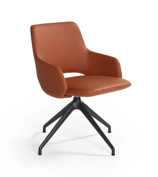Jima Chair with Swiveling Star Base by Artifort - Image 2