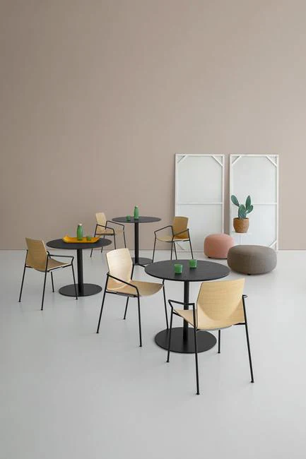 Kai S38P Armchair by Lapalma - Image 4