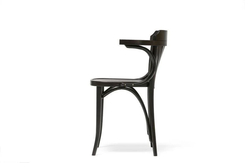 Michael Thonet No. 25 Bentwood Chair by Ton - Image 12