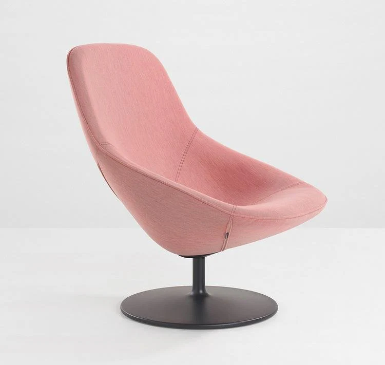 Pala Giro Lounge Chair by Artifort - Image 2