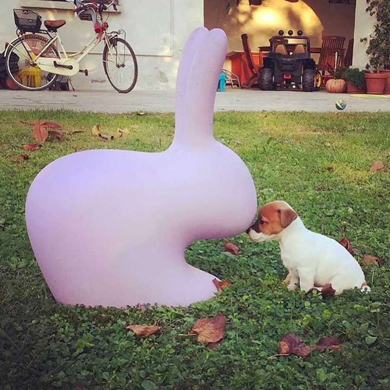 Rabbit Chair by Qeeboo - Image 15