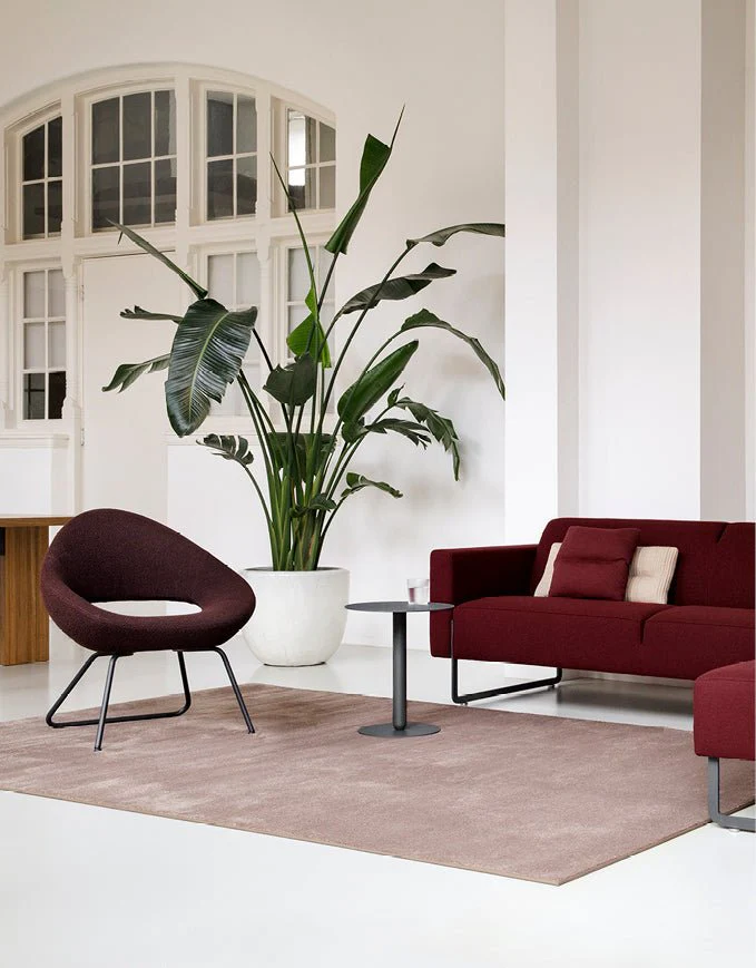 Rene Holten Shark Lounge Chair Two Leg / Sled Base by Artifort - Image 4