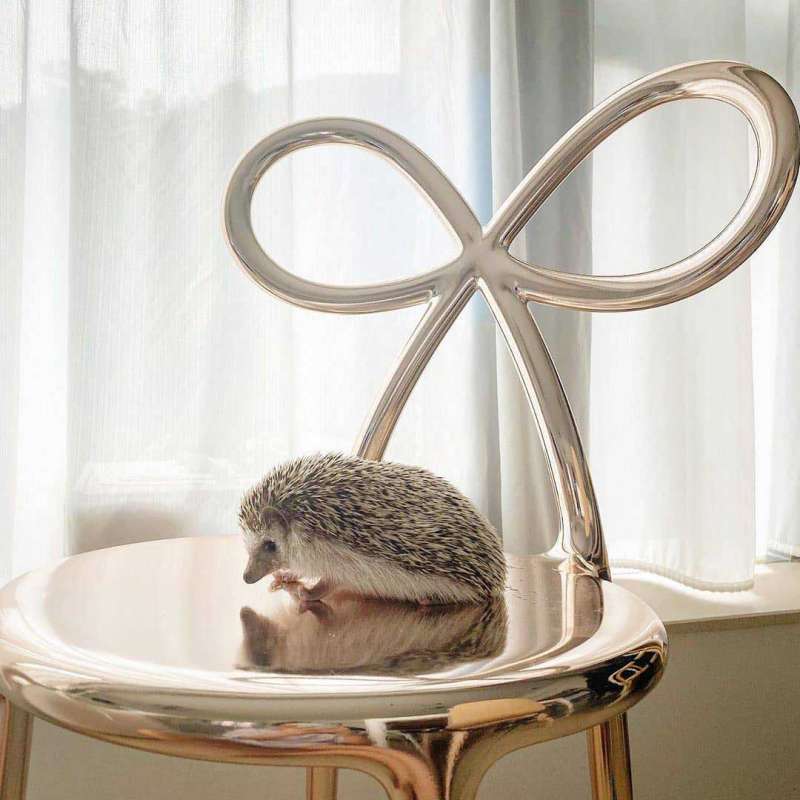 Ribbon Chair Metal by Qeeboo - Image 5
