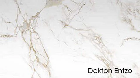 Eero Saarinen Tulip Table Round Cocktail Height 24 Inch Diameter - Image 18