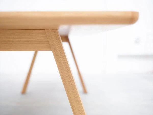 Stelvio Dining Table by Ton - Image 9